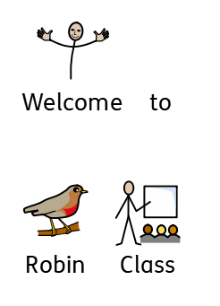 Welcome to Robin Class